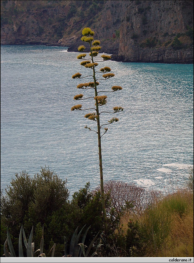 Maratea 023.jpg