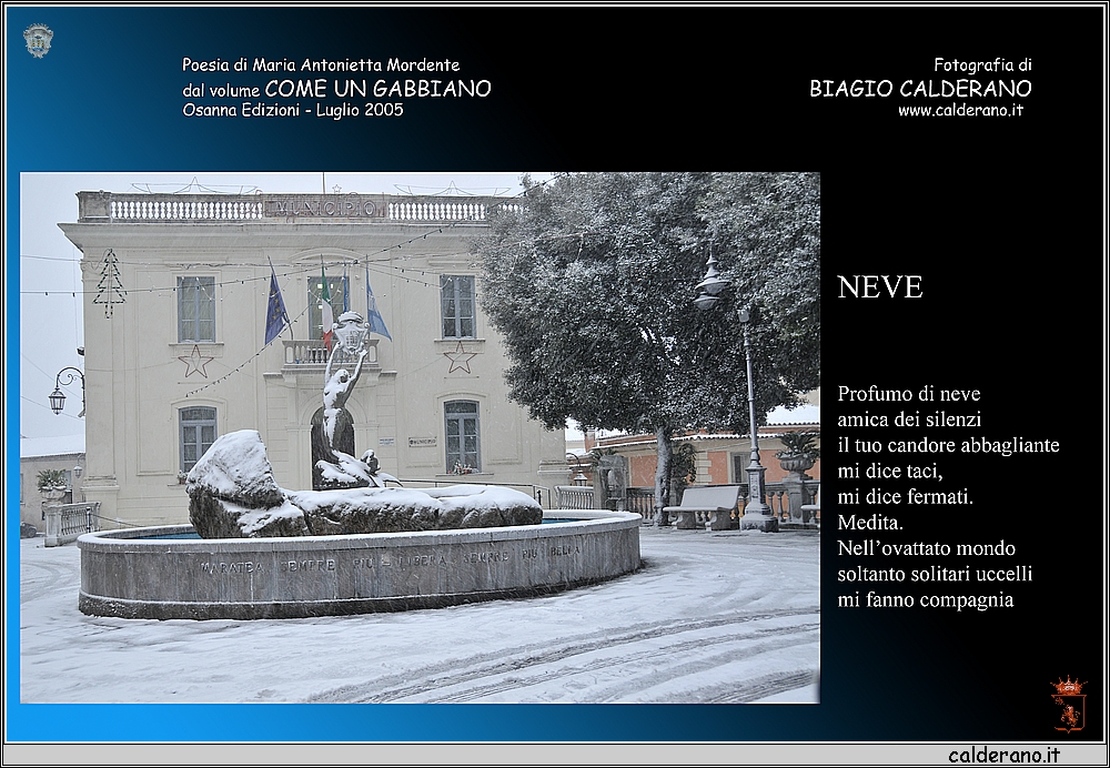 24 Neve.jpg