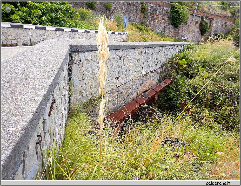 DSCN3814 Canale Pisciotta.JPG