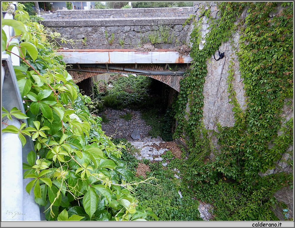 DSCN3839 Vallone Chiesa.JPG