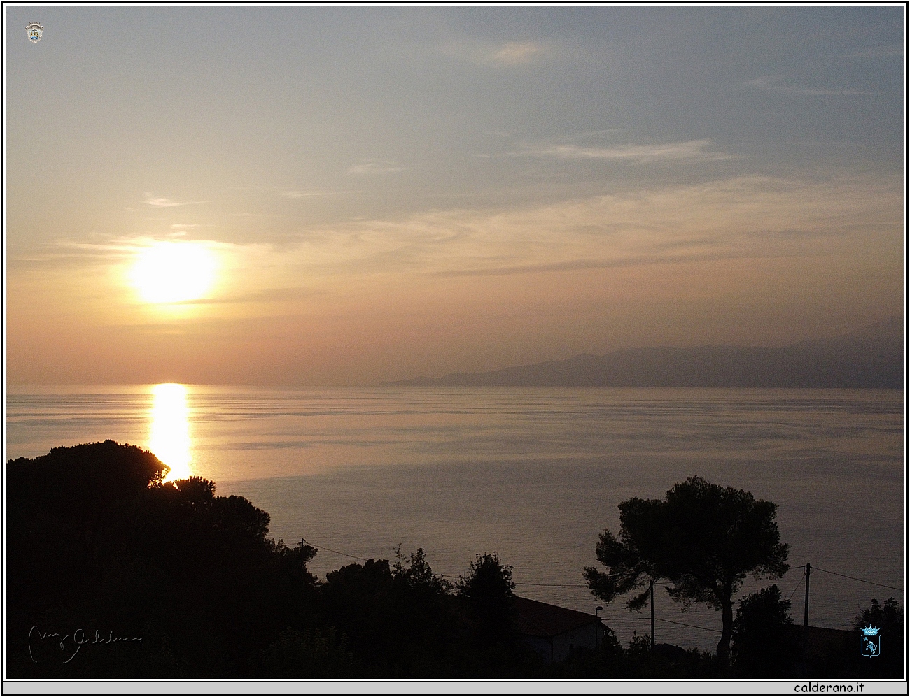 1635 05 ottobre 2023 Giallo Topazio - Punta Santavenere.JPG