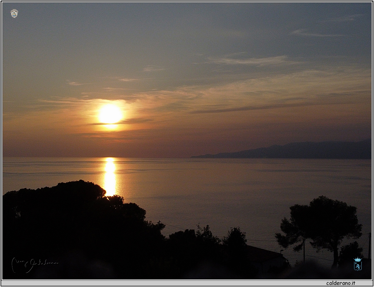 1636 05 ottobre 2023 Giallo Topazio - Punta Santavenere.JPG