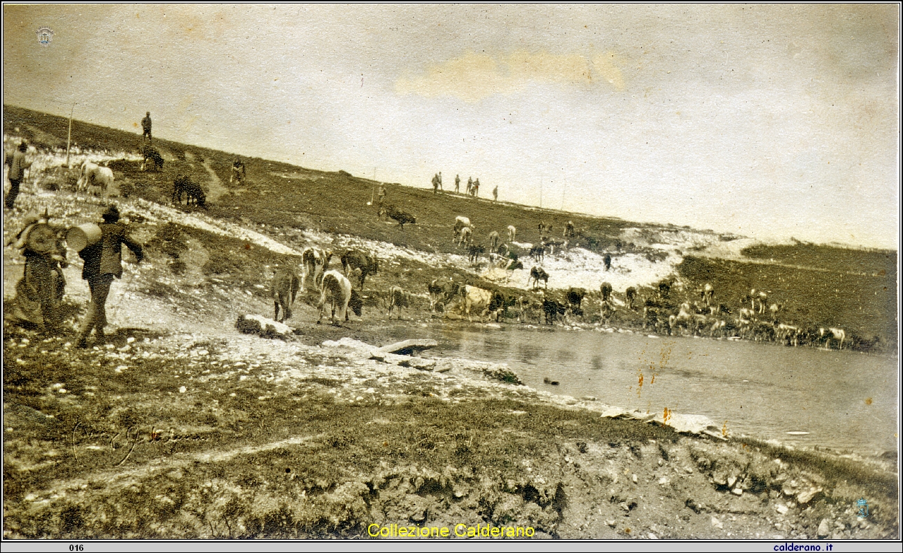 Valle Lagarina 1918 - foto di Biagio Schettino.jpg