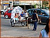 Carrettino con pony alla scuola media.jpg