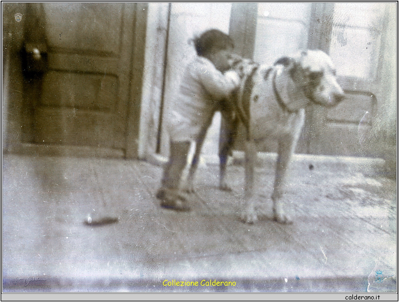 Andrea Scoppetta con Febo.jpg