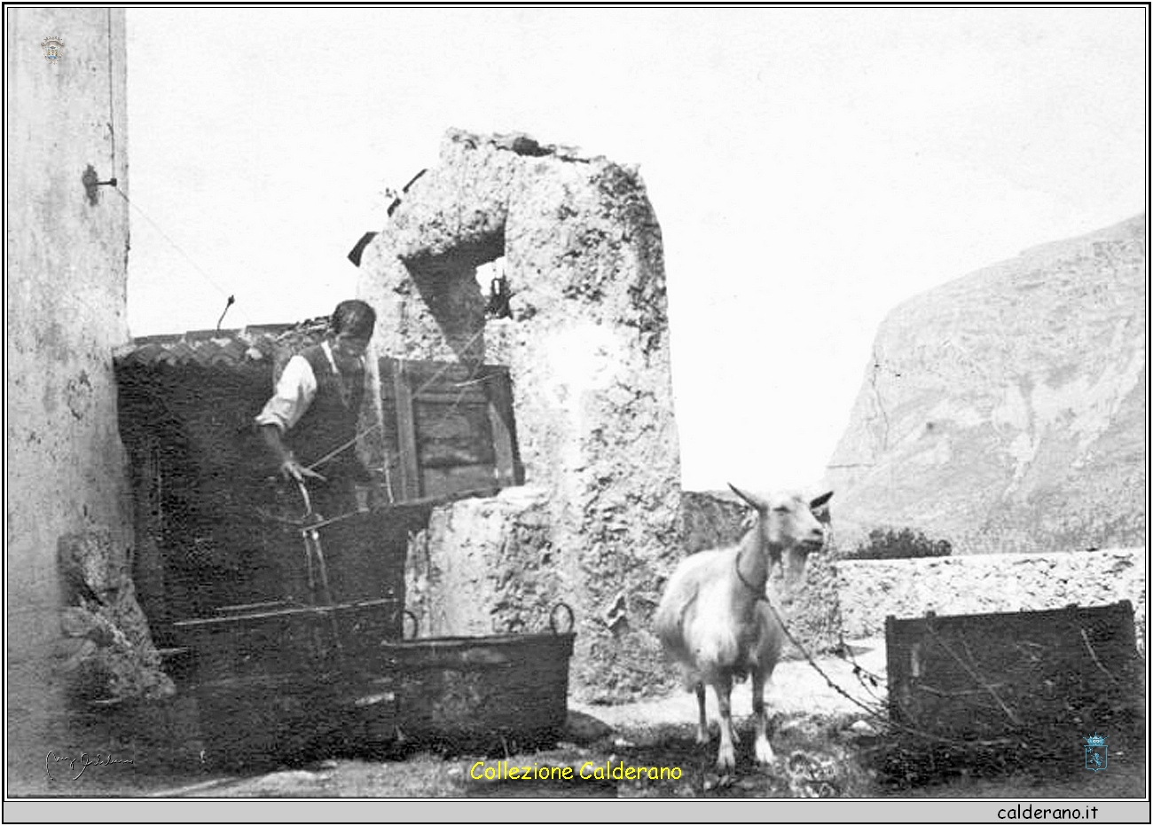 Il pozzo nella villa di Tarantini e la capra.jpg