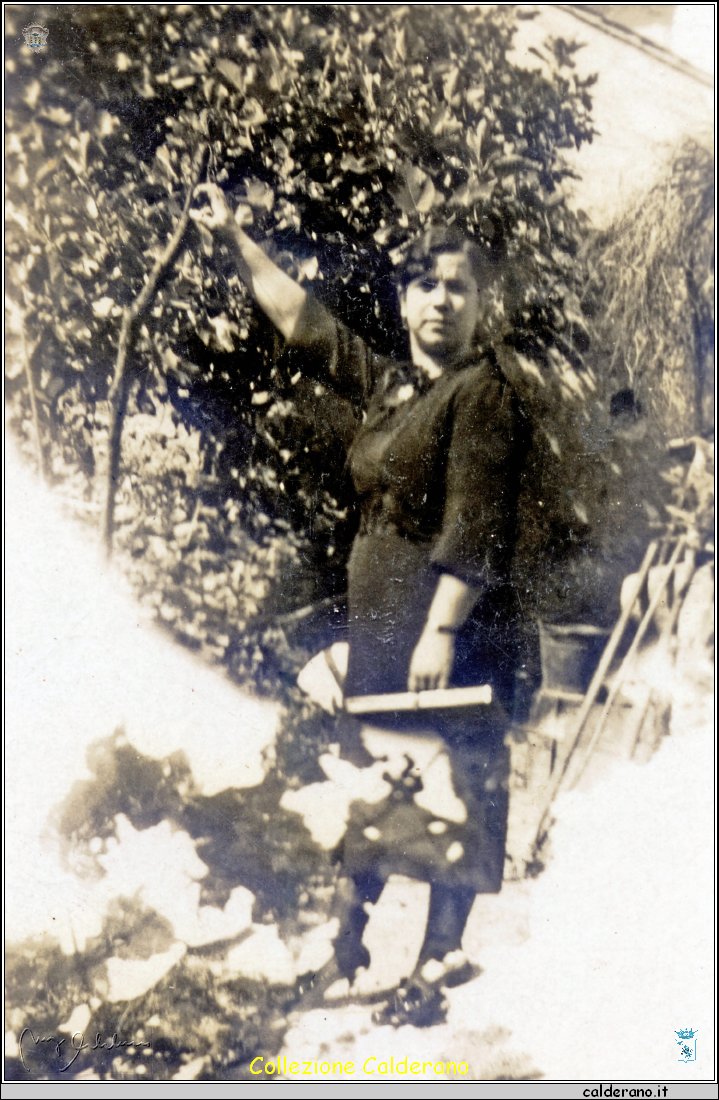 Giuseppina Liberatore 26-9-1939.jpg