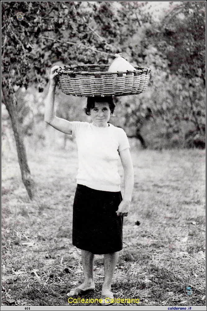 Rosa con la cesta.jpg