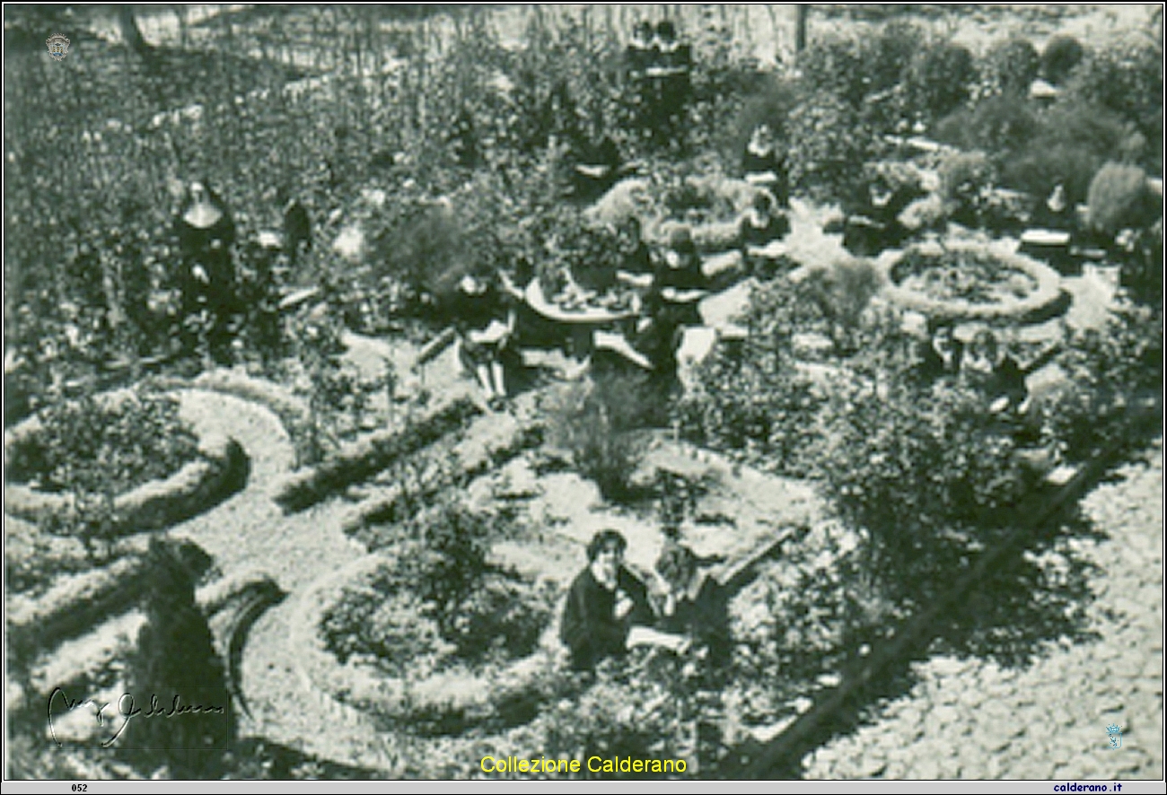 Giardino del De Pino.jpg