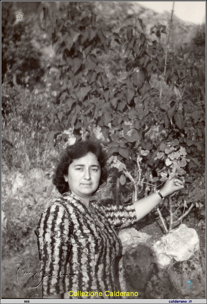 Rosa Mordente in posa.jpeg