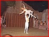 Balletto -La morte del Cigno- tra i ruderi del Castello luglio 1981 1.jpeg