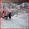 Sagra del pesce 1966.JPG