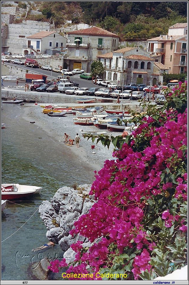 Il Porto con le barche di legno.jpg