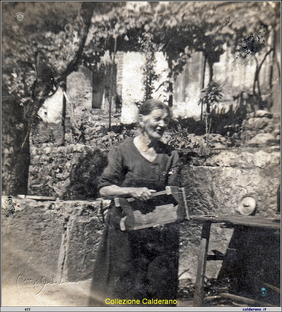 Maria Rosa Lamarca 1-7-1948.jpeg