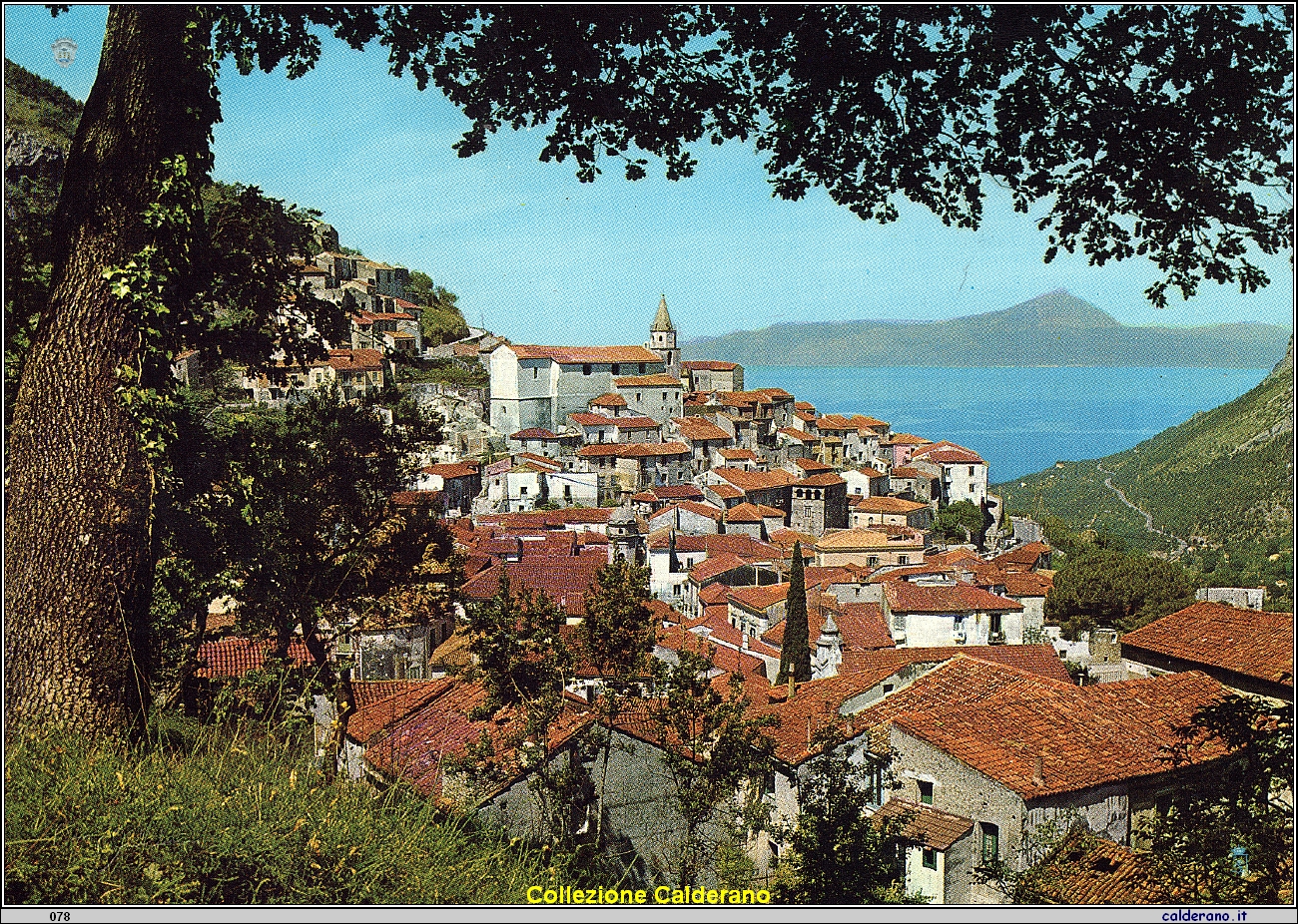 Cartolina - Panorama .jpeg