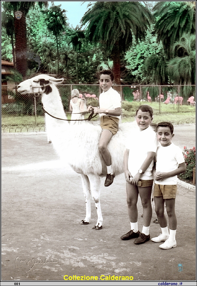 Gianni con Pippo e Loris Schettino con il Lama.jpeg