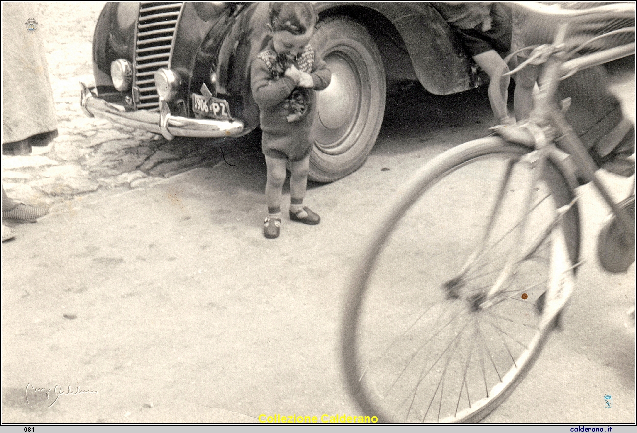 Umberto Avigliano e il gatto 1954.jpeg