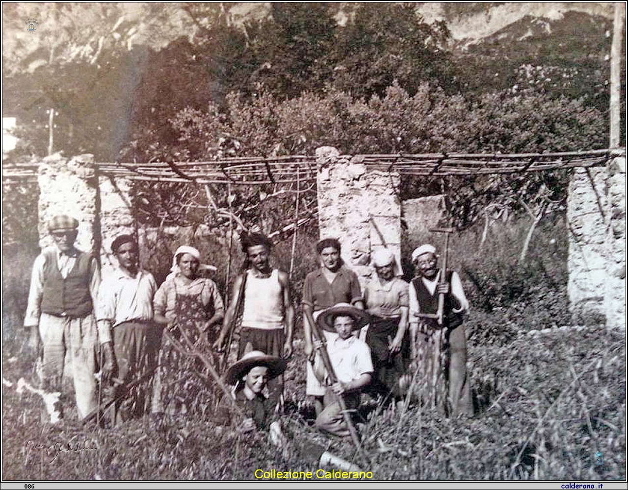 Lavoratori nei giardini dell'Istituto De Pino - anni '50.jpg