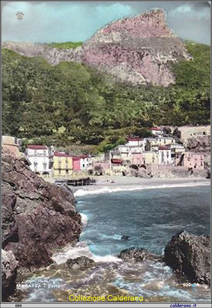 Cartolina - Il Porto .jpg