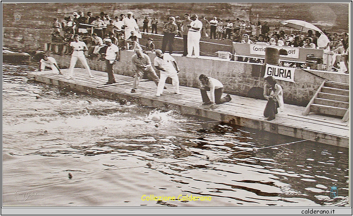 Giuria della gara di Nuoto.jpg