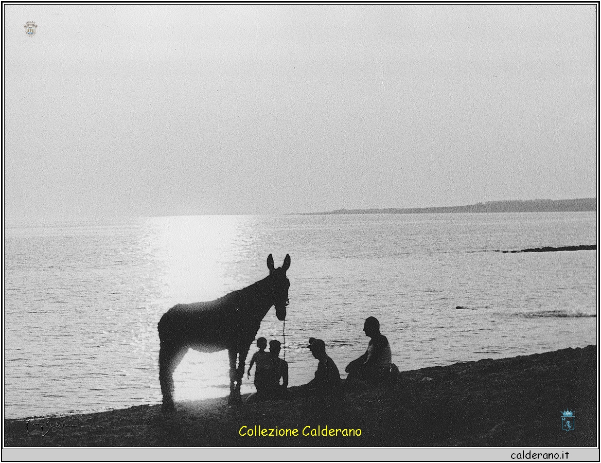 Con l'asino al mare.jpg