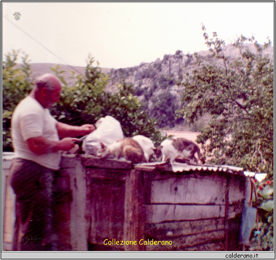 Gennarino Giffuni con i gatti.jpg