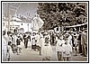 Processione della Madonna del Rosario.jpg