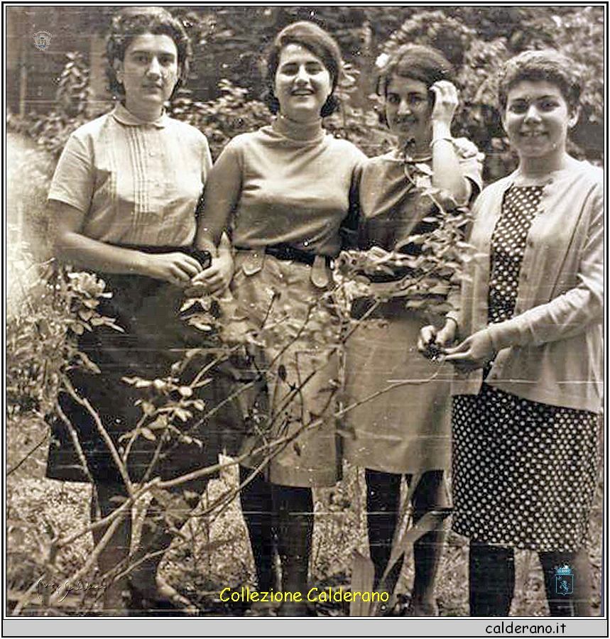 Maria Giuditta Garreffa, Rita Di Leone, Maria Papa e Gilda Laino 1966.jpg