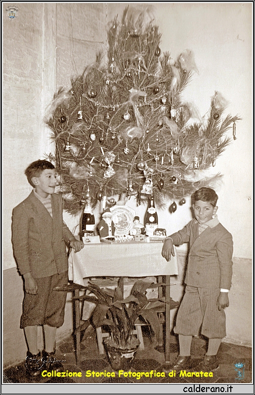 L'albero di Natale con Ciccillo e Biasino Colavolpe.jpeg