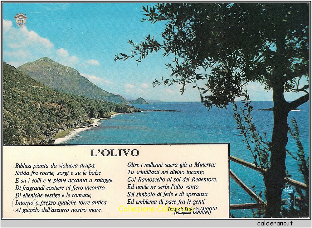 L'Olivo - Cartolina.jpg