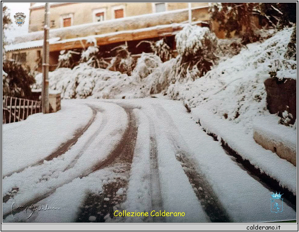 Nevicata al Porto 10 1982.jpg