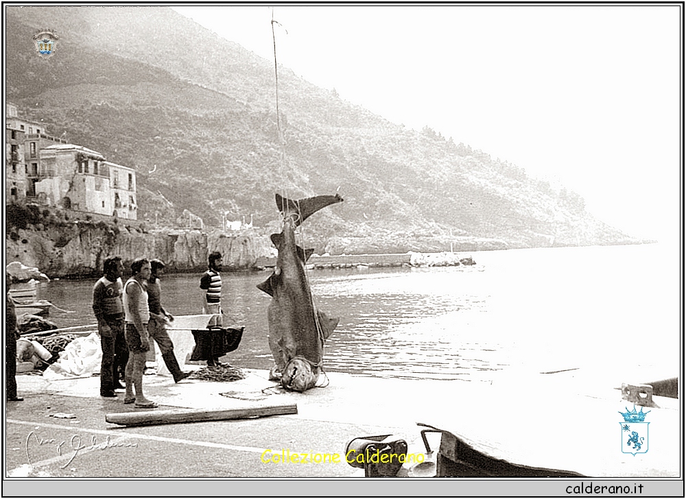 Grande pesca 1968.jpg