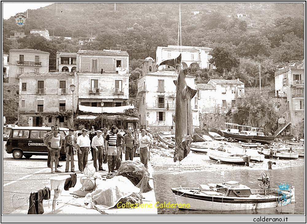 La pesca 1968.jpg