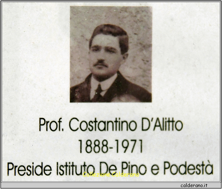 Costantino D'Alitto.jpg