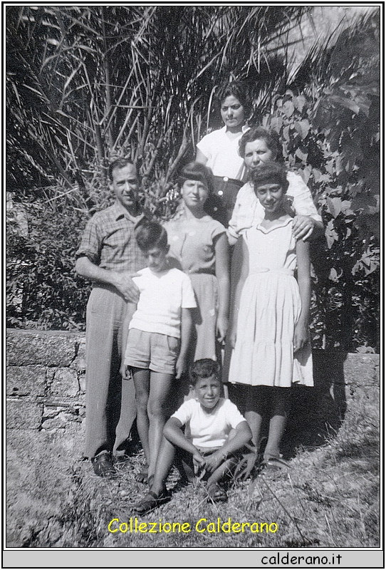 Famiglia Colavolpe con Silvana, Vincenzo, Liliana, Filomena, Franca, Ciccillo e Biasino.jpeg