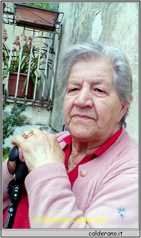 Amalia Limongi.jpg