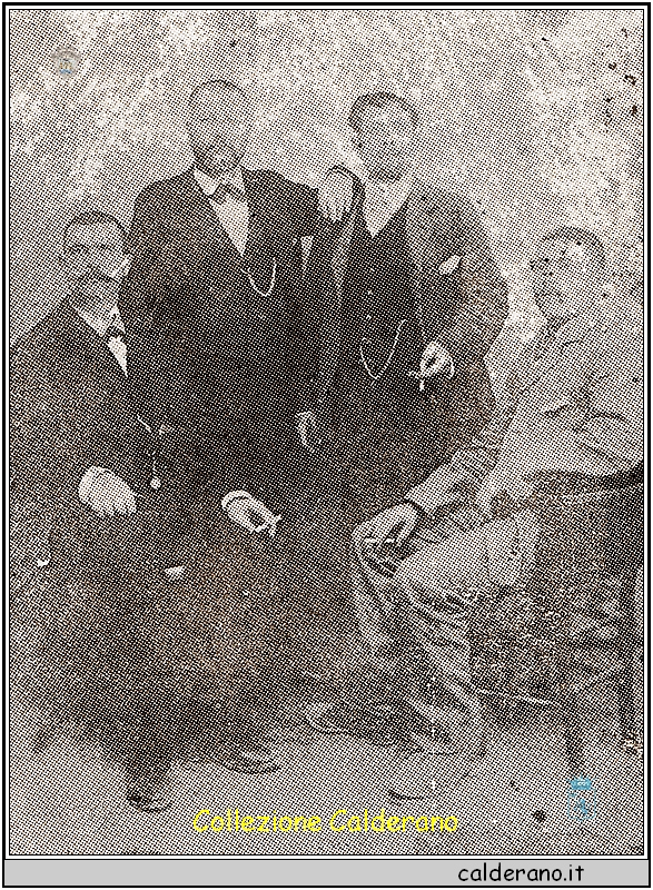 Fratelli Limongi di Cersuta 1890.jpeg