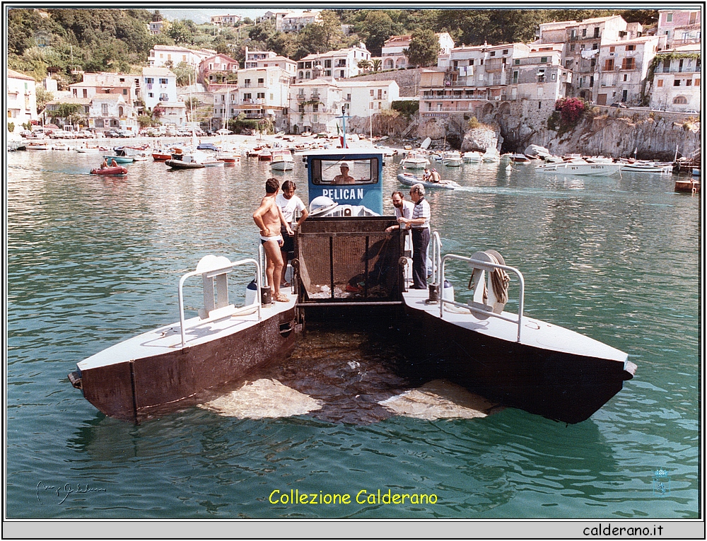 Il pellicano al Porto 1985 1.jpeg