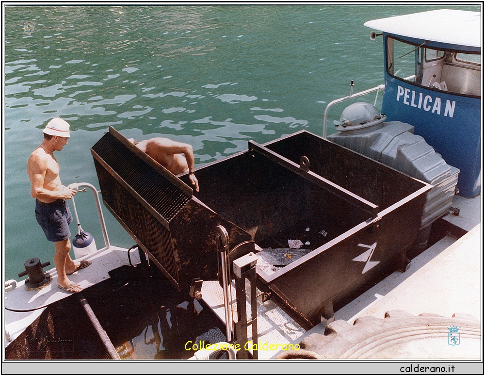 Il pellicano al Porto 1985 3.jpeg