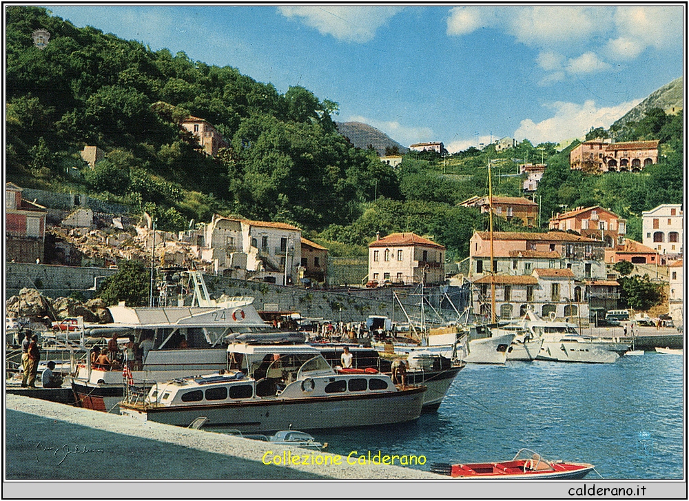 Cartolina 58 Panfili e yachts nel porto di MARATEA - Ed Foto Mario Brando.jpeg