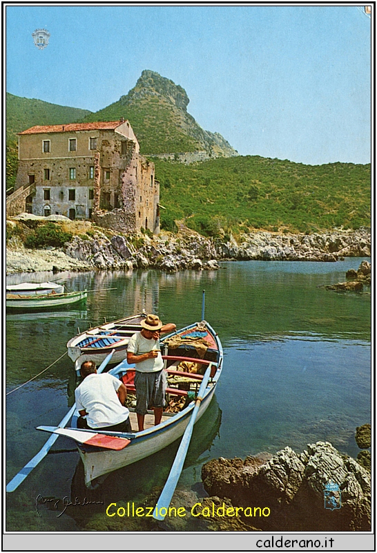 Cartolina 70 Bellezze del Golfo di Policastro - Ed Palermo.jpeg