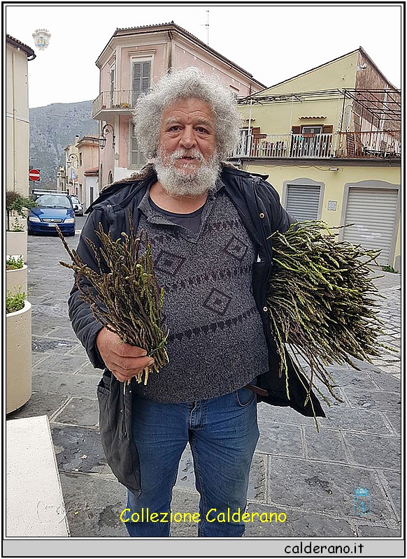 Raccolta di asparagi.jpg