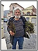 Raccolta di asparagi.jpg