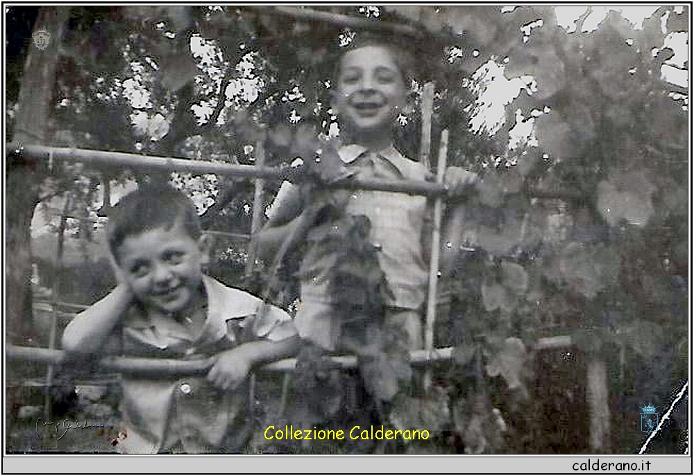 Fratelli Domenico e Francesco Brando 1956.jpg