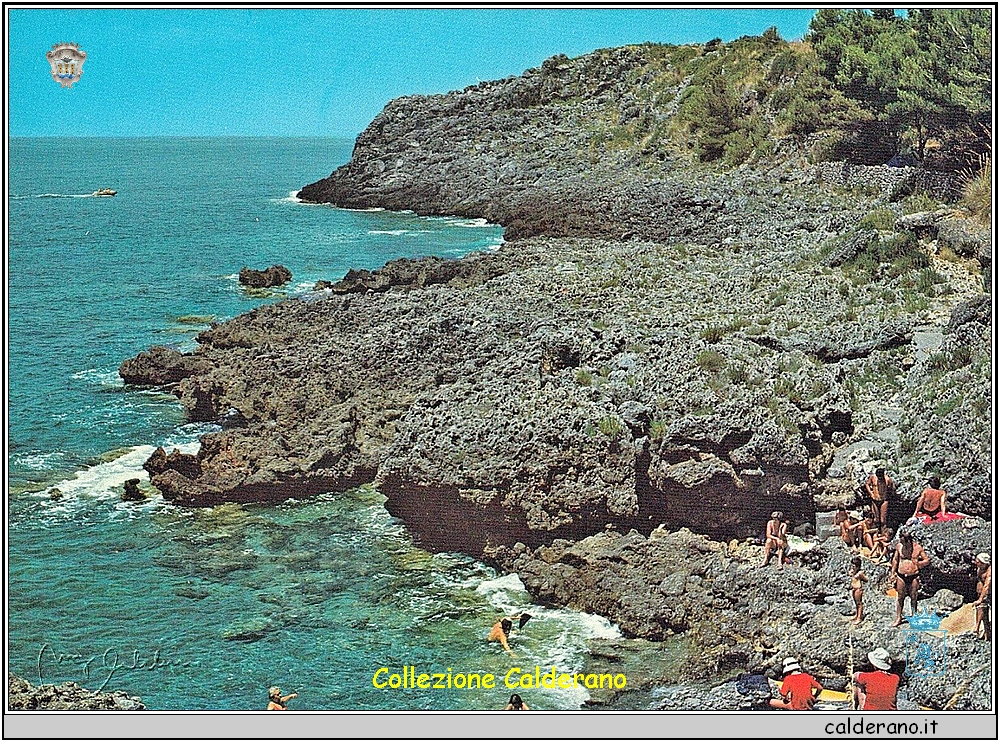 Cersuta - La scogliera - Cartolina 1971.jpg