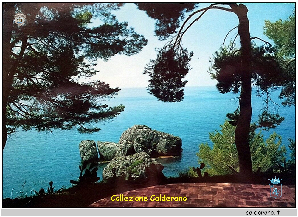 Scogliera - Cartolina 1969 - Ediz. Rocco Palermo - Bar Tabacchi.jpg