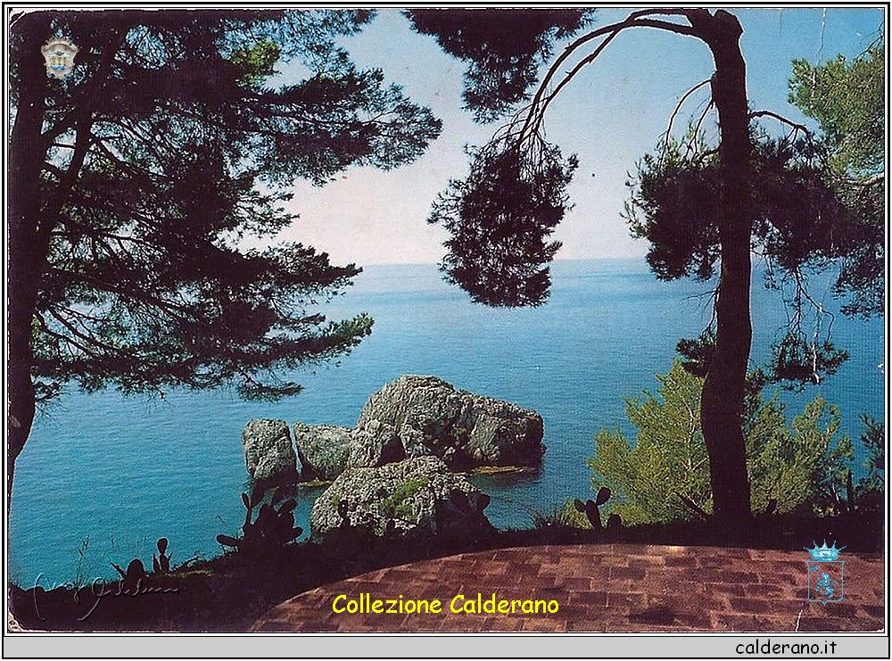 Scogliera - Cartolina anni '70.jpg