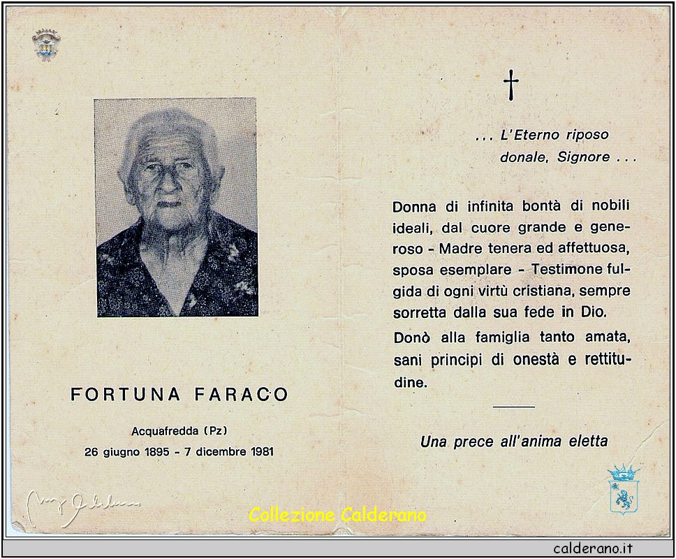 1981 Faraco Fortuna 86.JPG