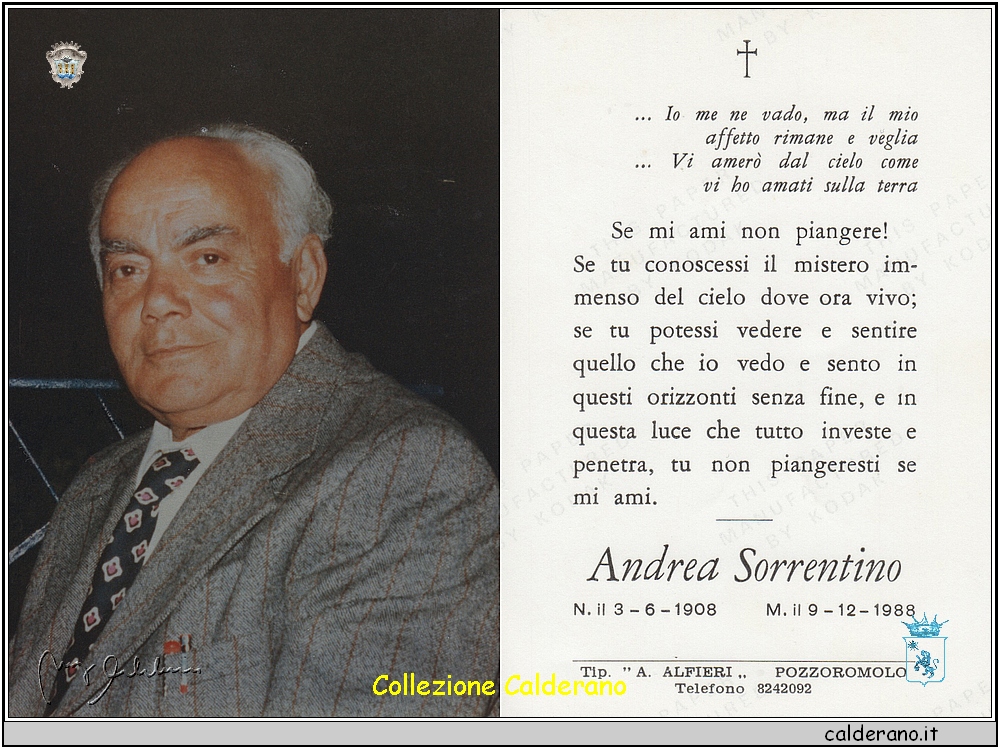 1988 Andrea Sorrentino 80.jpg