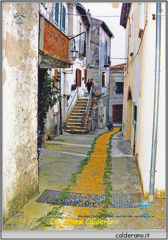 Infiorata in via Casaletto 2004 1.jpeg